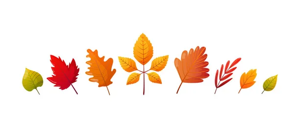 Ensemble de feuilles d'automne colorées lumineuses . — Image vectorielle
