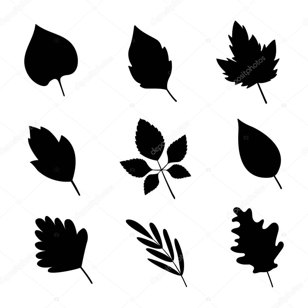 Set of black silhouettes of different leaves.