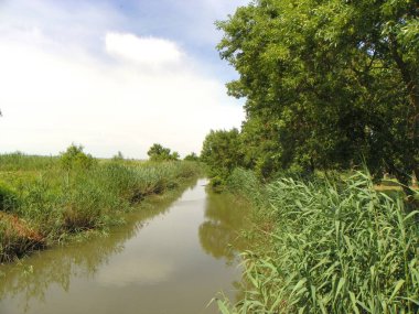 Küçük nehir alan geçiyor.
