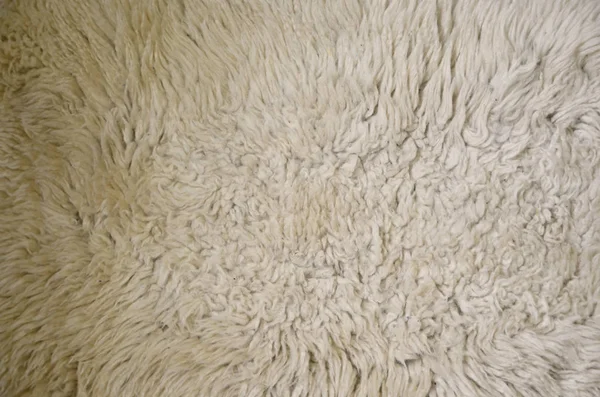 Crème Shaggy schapenvacht wol achtergrond — Stockfoto