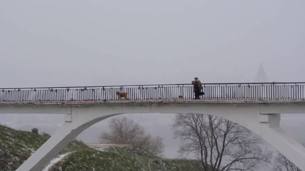 Oude Eenzame Vrouw Lopen Brug Met Hond Winter Sneeuwval — Stockvideo