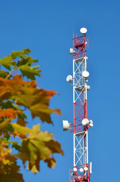 Teléfono móvil de comunicación torre de radio tv, mástil, antenas de microondas celular y transmisor contra el cielo azul y los árboles — Foto de Stock