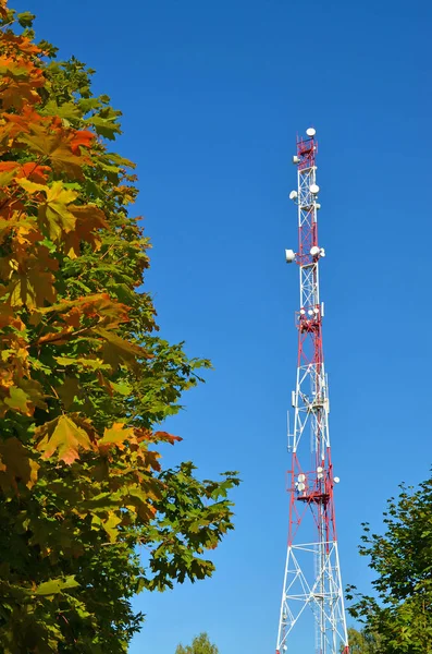 Telefonia mobile radio tv tower, albero, antenna a microonde e trasmettitore contro il cielo blu e gli alberi — Foto Stock