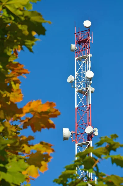 Telefonia mobile radio tv tower, albero, antenna a microonde e trasmettitore contro il cielo blu e gli alberi — Foto Stock