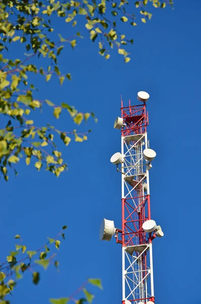 Telefonia mobile radio tv tower, albero, antenna a microonde e trasmettitore contro il cielo blu e gli alberi — Foto Stock