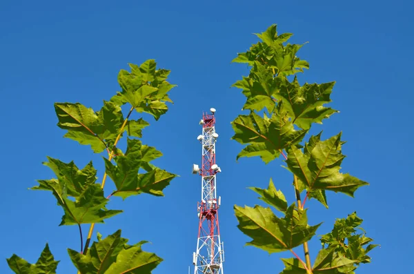 Teléfono móvil de comunicación torre de radio tv, mástil, antenas de microondas celular y transmisor contra el cielo azul y los árboles — Foto de Stock