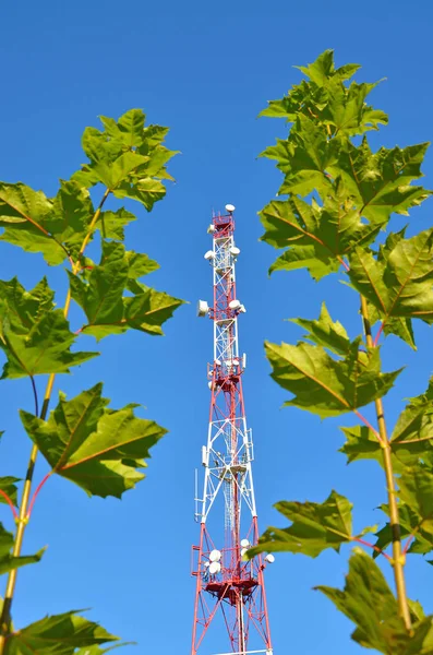 Teléfono móvil de comunicación torre de radio tv, mástil, antenas de microondas celular y transmisor contra el cielo azul y los árboles — Foto de Stock