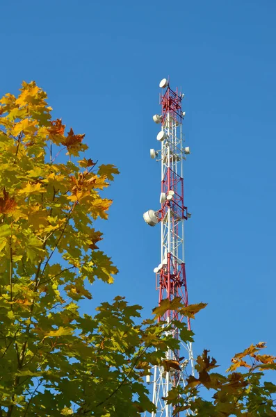 Teléfono móvil de comunicación torre de radio tv, mástil, antenas de microondas celular y transmisor contra el cielo azul y los árboles — Foto de Stock