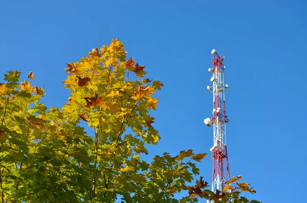 Teléfono móvil de comunicación torre de radio tv, mástil, antenas de microondas celular y transmisor contra el cielo azul y los árboles — Foto de Stock