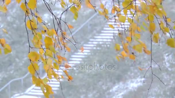 Silné sněžení v lese. Větve a listy houpat se ve větru — Stock video
