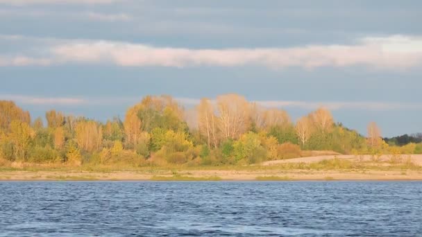 Herfst landschap, bomen met gele bladeren zwieren in de wind in de buurt van rivier — Stockvideo