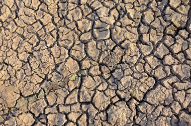 Kuraklık arazi. Çorak toprak. Kırık dünya arka plan kuru. Kırık çamur desen.