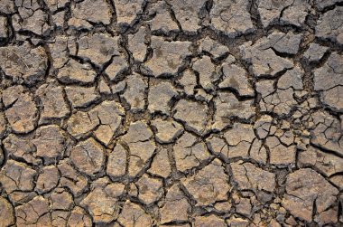Kuraklık arazi. Çorak toprak. Kırık dünya arka plan kuru. Kırık çamur desen.