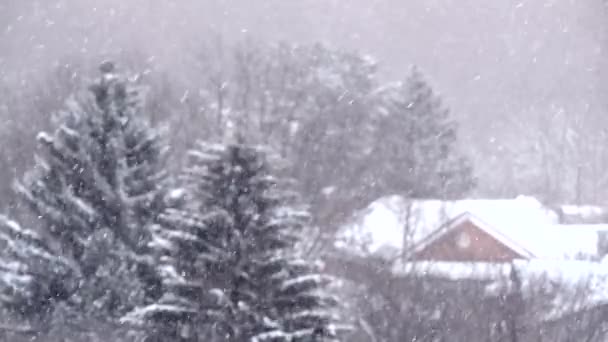 Schneefall im Winter in der Stadt, weicher, verschneiter Weihnachtsmorgen mit fallendem Schnee — Stockvideo