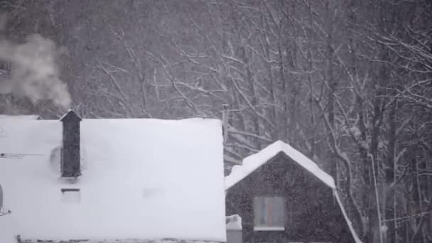 Snowfall w zimie w mieście, miękki śnieżny poranek Bożego Narodzenia z padającym śniegiem — Wideo stockowe