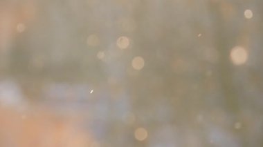 Kışın ormanda kar yağışı, kar yağarken yumuşak karlı bir Noel sabahı.