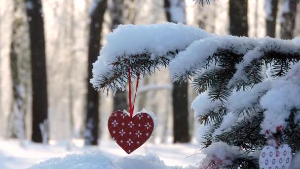 Schneefall im Winter, Ast mit Weihnachtsherz wiegt sich im Wind — Stockvideo