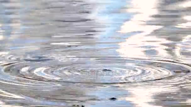 Patak, folyam, folyó - csepp víz, a víz-minták — Stock videók