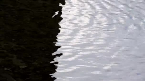 Ruisseau, ruisseau, rivière - goutte d'eau, les modèles d'eau — Video