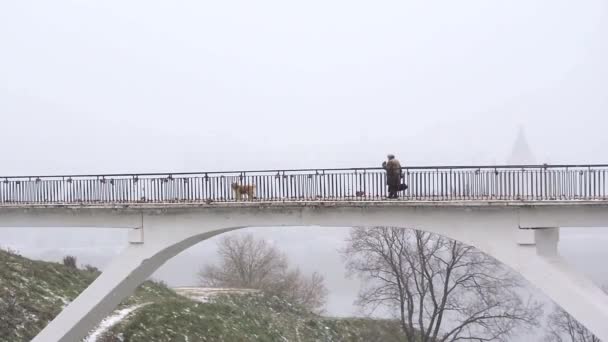 Ensam kvinna gå på bron med hunden i vinter snöfall — Stockvideo