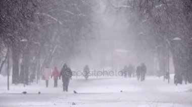 Kar yağışı şehir, karlı yolda yürürken insanlar. Blizzard, kar fırtınası