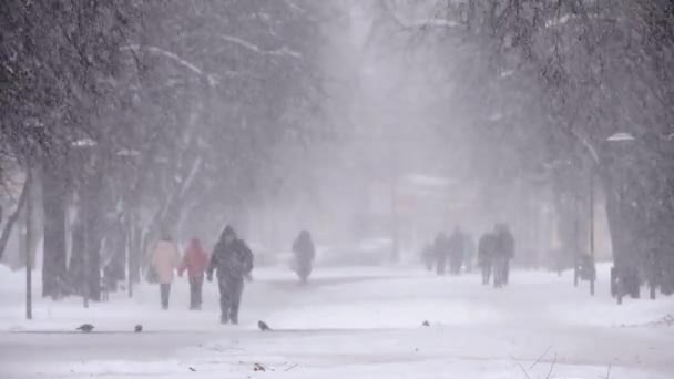 Floresta de neve na cidade, pessoas a caminhar na estrada nevada. Nevasca, tempestade de neve — Vídeo de Stock