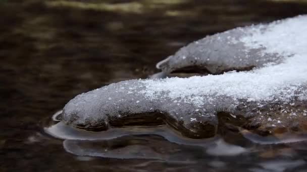 Лед на воде, горный ручей, ручей, река - текучая вода, закрывайся — стоковое видео