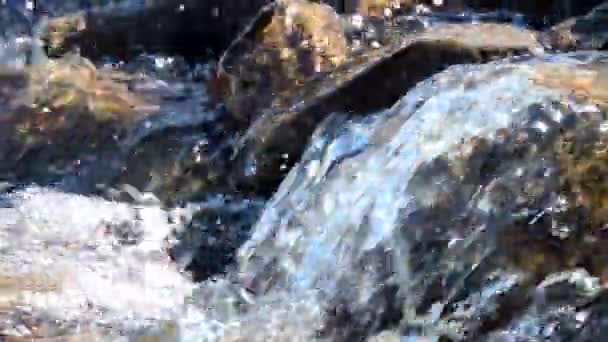 Waterfall mountain creek stream river rivulet- flowing running water — Stock Video