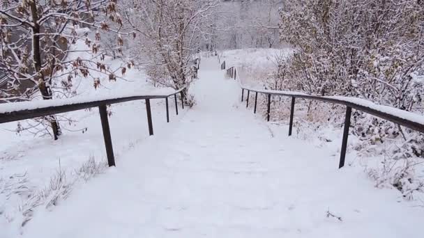 Snowfall w zimie w mieście, miękki śnieżny poranek Bożego Narodzenia z padającym śniegiem — Wideo stockowe