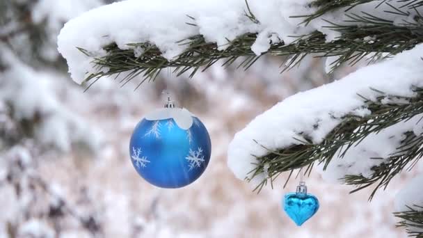 Снігопад взимку в лісі, гілка з ялинковими кульками, іграшки плавають на вітрі — стокове відео
