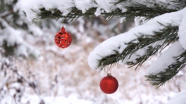 Chute de neige en hiver dans la forêt, branche avec une boule de Noël, jouets balancent dans le vent — Video