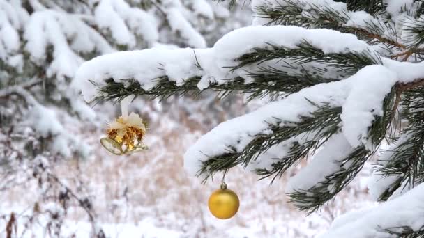 Chute de neige en hiver dans la forêt, branche avec une boule de Noël, jouets balancent dans le vent — Video