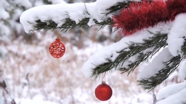 Schneefall im Winter im Wald, Ast mit Weihnachtskugel, Spielzeug wiegt sich im Wind — Stockvideo