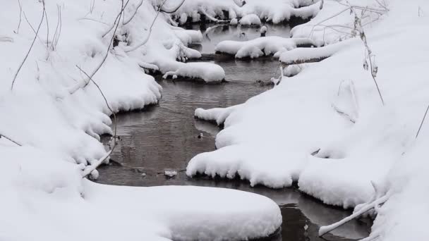 Su üzerinde buz ve kar, dağ deresi, dere, nehir - akan su — Stok video