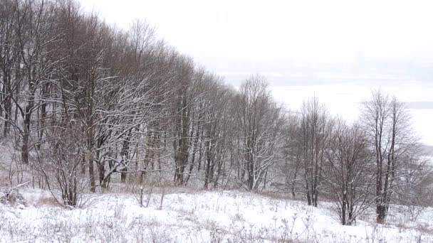 Kışın şehirde kar yağışı, kar yağarken yumuşak karlı bir Noel sabahı. — Stok video