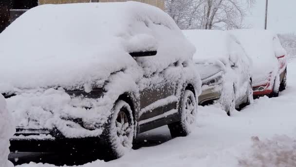 L'hiver. Chute de neige. Les voitures couvertes de neige se tiennent sur le bord de la route pendant la tempête de neige — Video