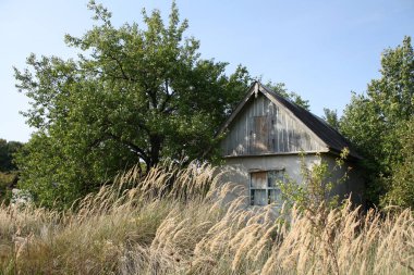 Pencereleri tahtayla kapatılmış, terk edilmiş, harap bir evde.