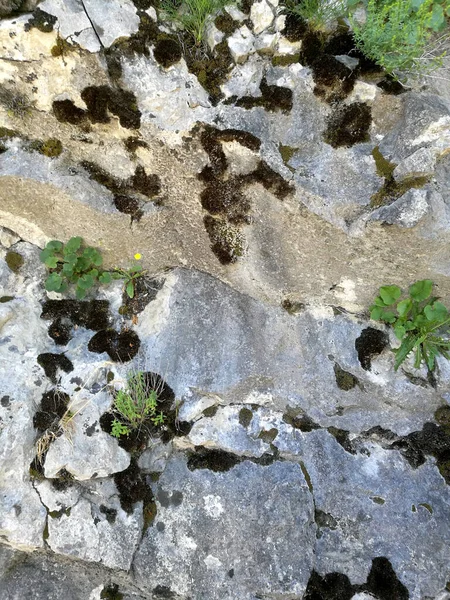 Textura Piedra Natural Con Musgo Verde Marrón — Foto de Stock