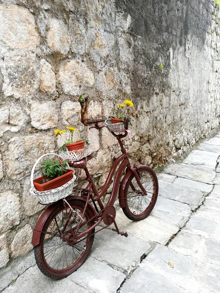 flower bed on a Bicycle in a long alley of the old town