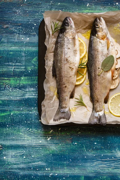 Fresh healthy fish — Stock Photo, Image