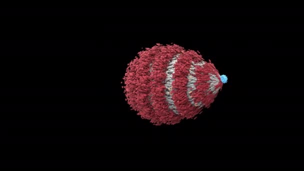 Antikorlar Koronavirüsü Yok Eder Virüs Parçalarına Ayrılır Alfa Kanalı Oluşur — Stok video