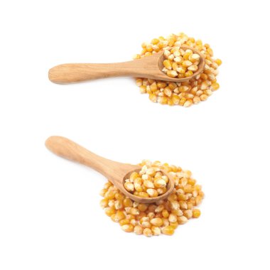 Mısır taneleri izole yığını