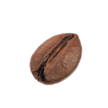 Tek kahve çekirdeği izole