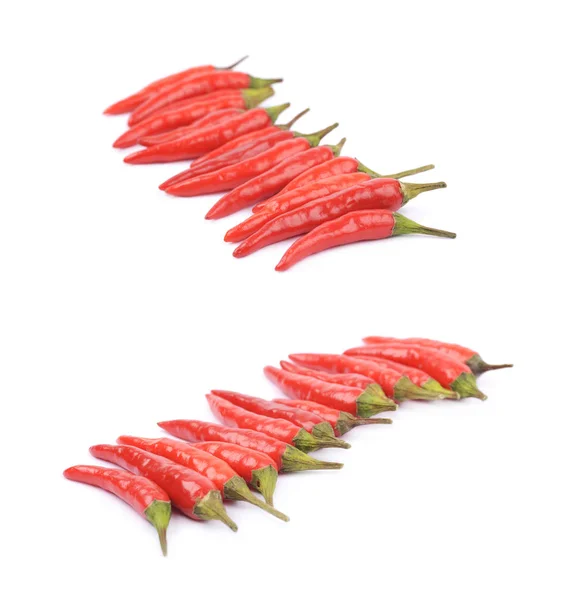 Pimientos italianos rojos aislados — Foto de Stock