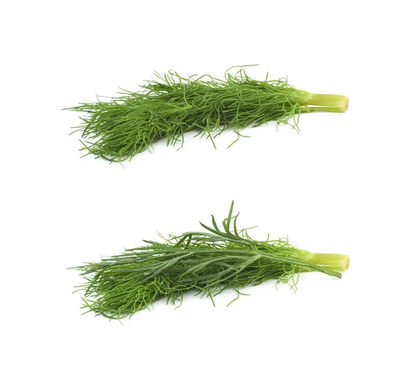 Dill ört isolerade — Stockfoto