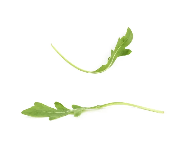 Única folha de salada de foguete verde isolada — Fotografia de Stock