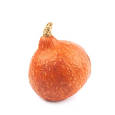 izole olgun turuncu kabak