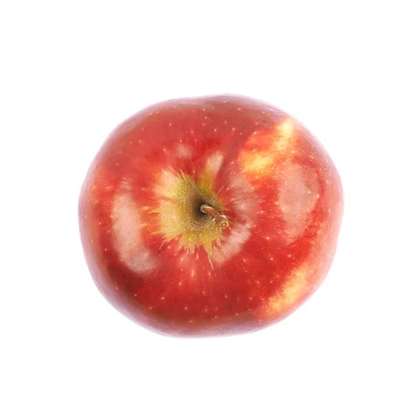 Single red ripe apple isolated — Stock Photo, Image