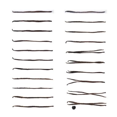 Vanilya pod meyve izole kurutulmuş