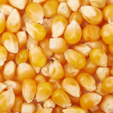 Mısır taneleri ile kaplı yüzey